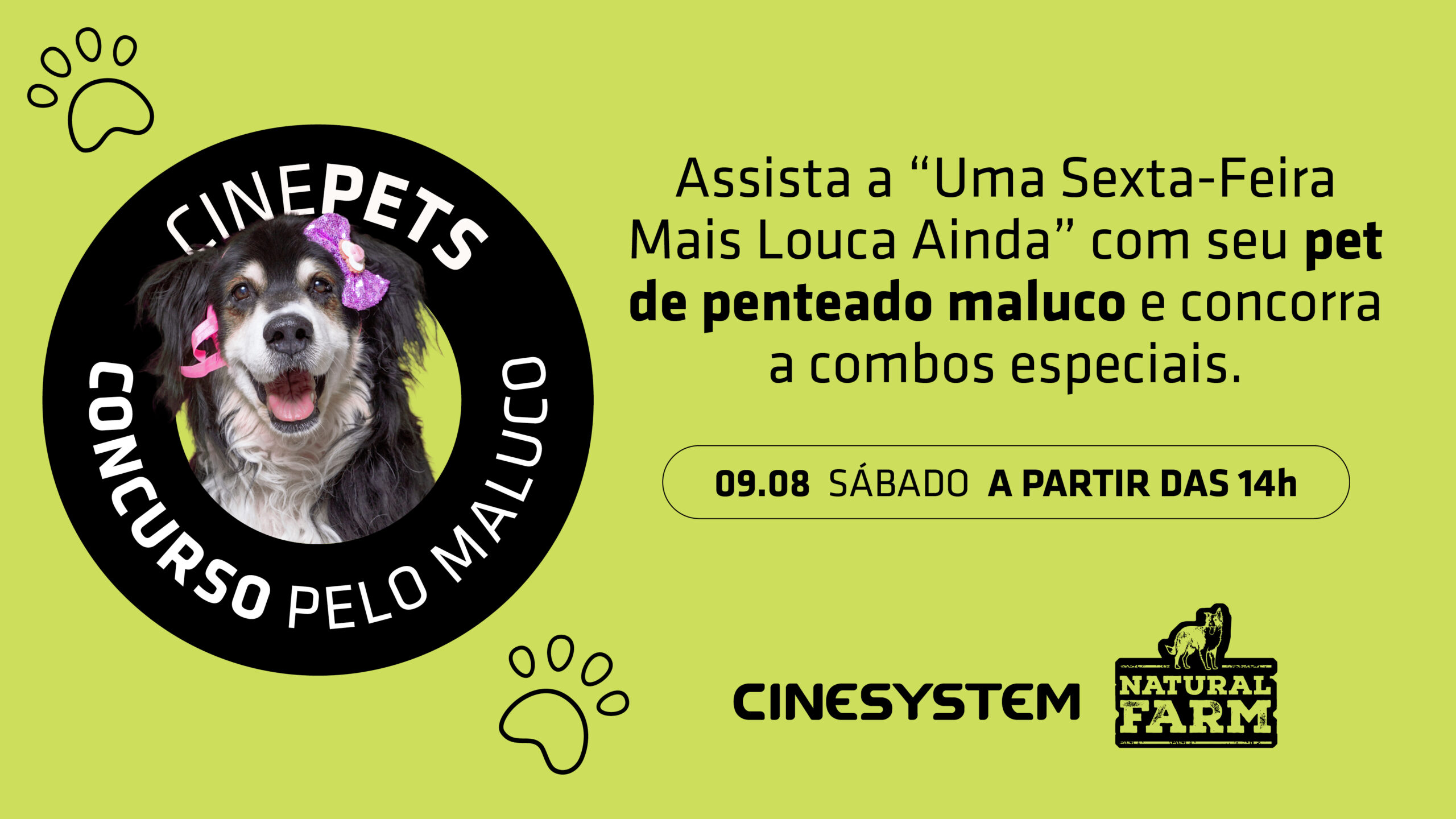 CINEPETS-PELO-MALUCO-1920x1080