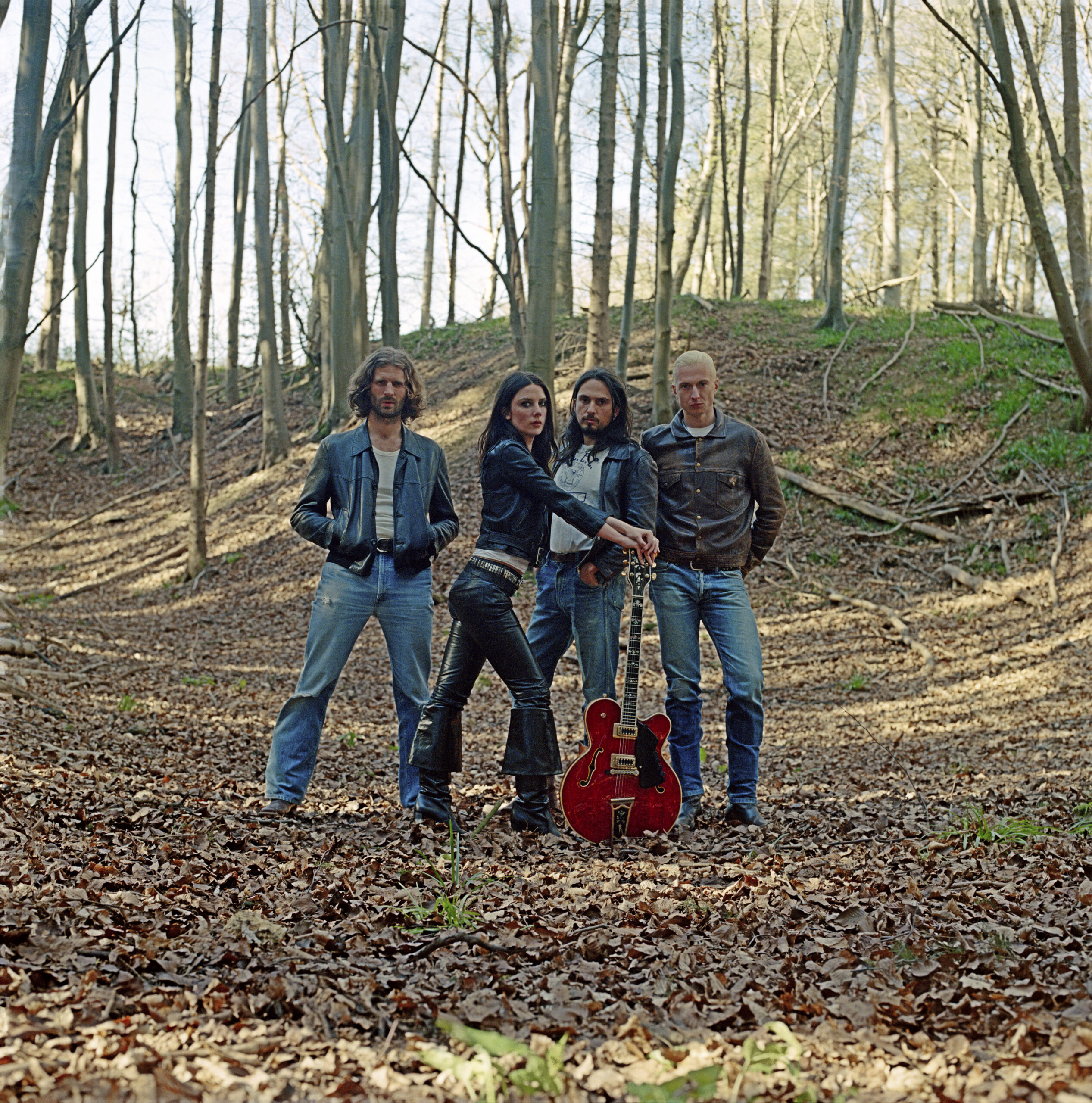 WolfAlice-WhiteHorses