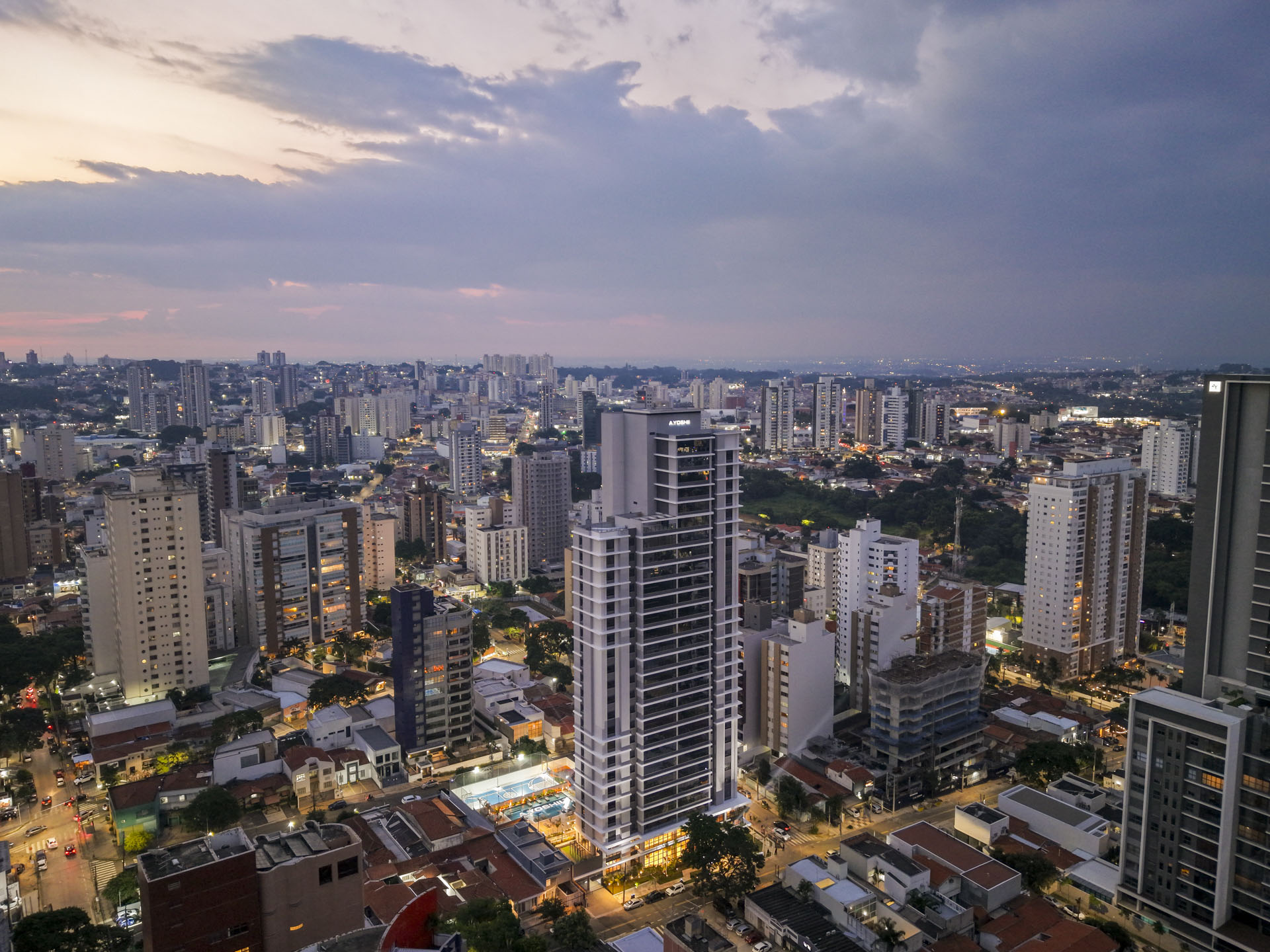 Divulgação